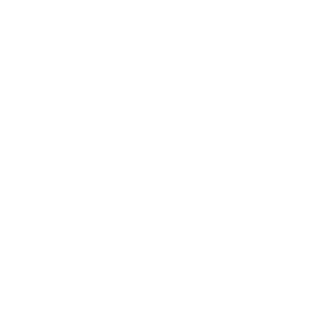 eServices logo image
